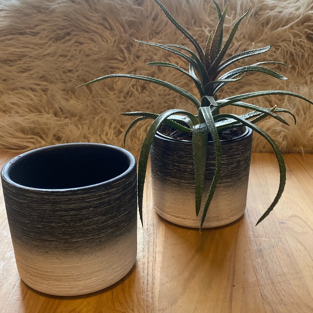 A pair of planters from Michael’s